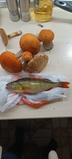 Всякая всячина