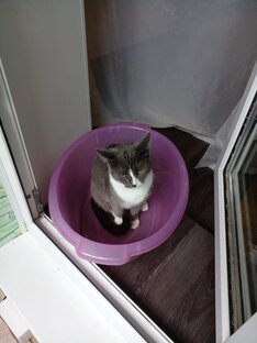 🐱Это мне? 