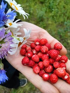 Лето 😍😍😍