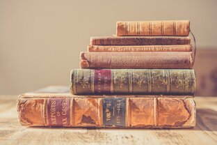 Книжная полка