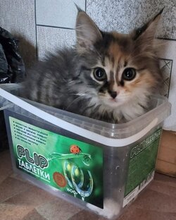 Видео. Просто видео.