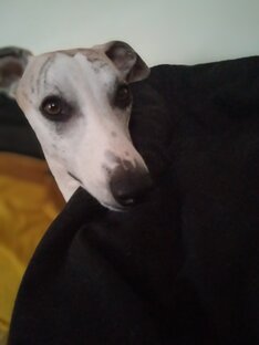 Оказывается..