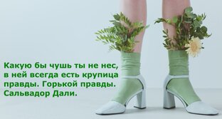 Проект 20 век