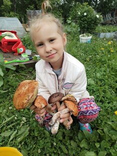 Дары Камчатки