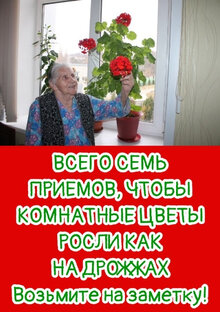 БАБУШКИНЫ СЕКРЕТЫ