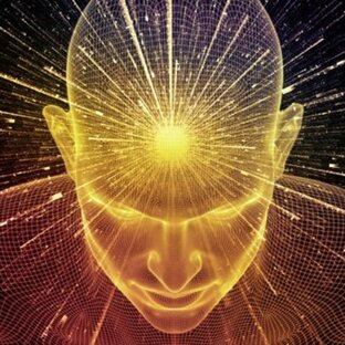 Природа сознания