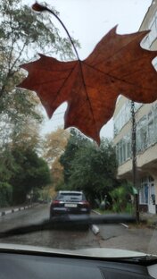 Осень, - Любовь моя 🍁🍂💞🌿🦋🍁