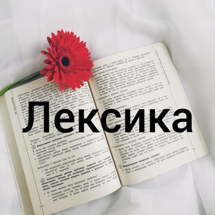Тесты_Лексика