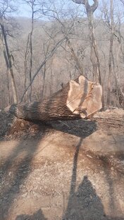 Столярка Благовещенск