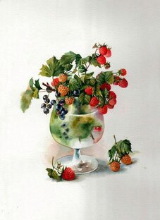 Ароматные вина