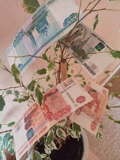 Накопительные счета