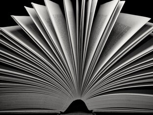 Книжный мир