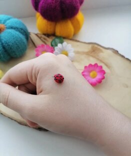   Забавные насекомыши 🐛