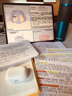 Биология🌱