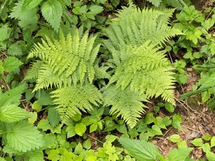 Инвалид, быт и ТСР