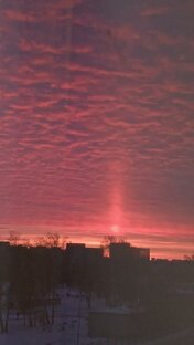 Курган: жизнь в городе