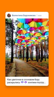 Весна: ☂️☔ зонтики в ходу...