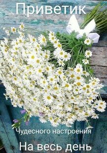 Материнское поле. Чингиз Айтматов аудио-видео книга