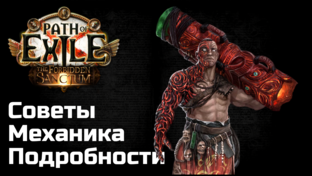 Механики Path of Exile