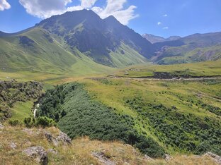 Звезды кино и шоу-биза
