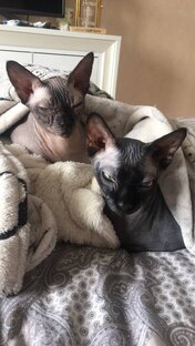 Интересности