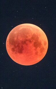 Алтай. Самое популярное 