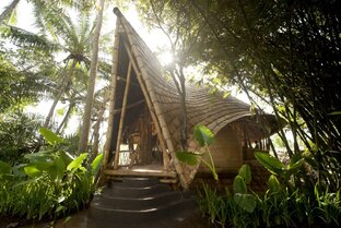 Дом из дерева