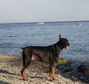 А вы это знали ? 