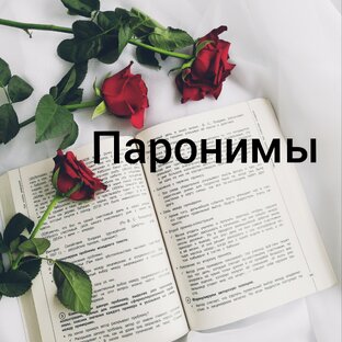 Паронимы