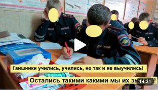 Гибдд во всей своей красе