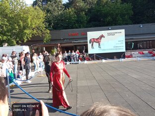 Фестиваль национальных пород лошадей. 