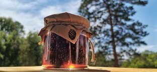 Что попробовать и привезти