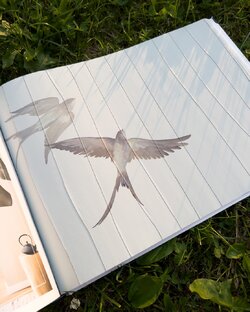 Новые коллекции