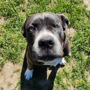 Туалетные дела