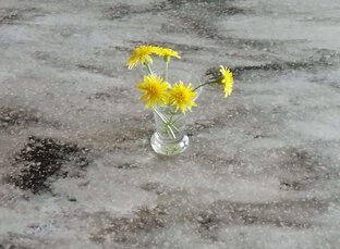 Жизнь - как она есть