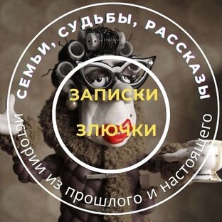 Дзен Записки злючки статистика