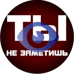 Дзен Ты не заметишь! статистика