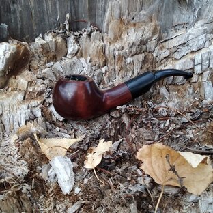 Дзен Блокнот Романа Игнатова статистика