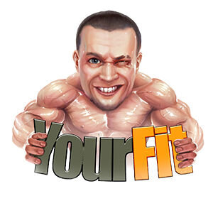 Статистика Дзен Your Fit