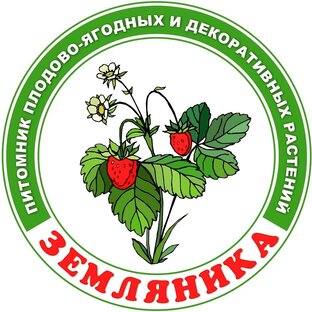 Статистика Дзен Питомник Земляника