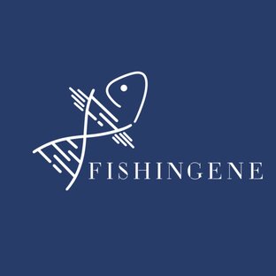 Статистика Дзен FISHINGENE / Блог о рыбалке
