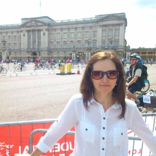 Дзен Йолинка (YoLinka) статистика