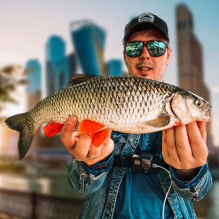 Дзен GRISHIN FISHING статистика