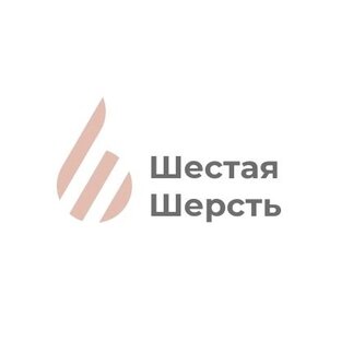 Статистика Дзен Магазин пряжи Шестая Шерсть