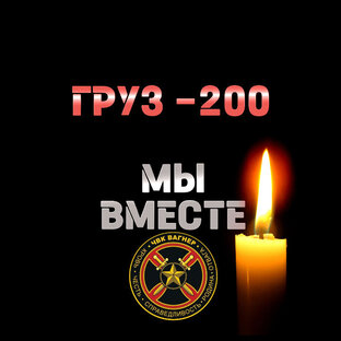 Дзен ZOVIK статистика
