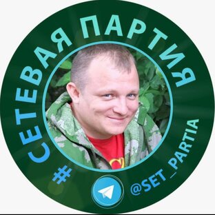 Статистика Дзен Максим Шевцов #сетевая партия