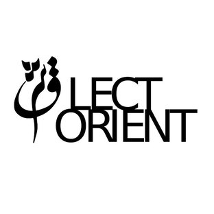 Статистика Дзен Lectorient