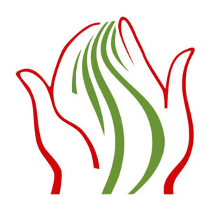 Статистика Дзен ONCOLOGY.ru | ОНКОЛОГИЯ.ру
