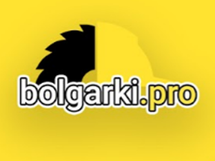 Статистика Дзен BolgarkiPro