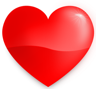 Дзен Борода статистика